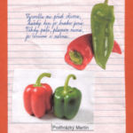 Podzimní hádanky Podzimní hádanky