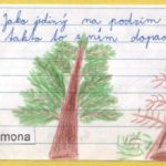 Podzimní hádanky Podzimní hádanky