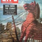 Life international - Zebra řešení Life international - Zebra řešení