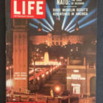 Life international - Zebra Life international - Zebra